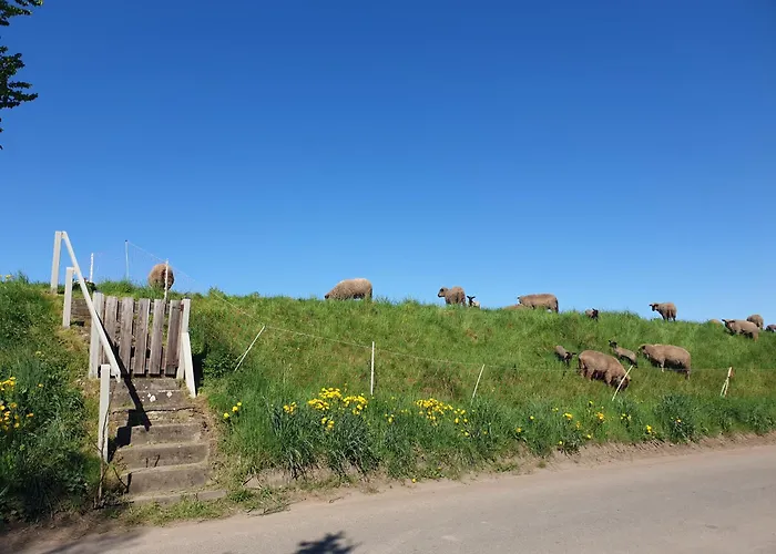 Osteblick شقة Oberndorf (Lower-Saxony)